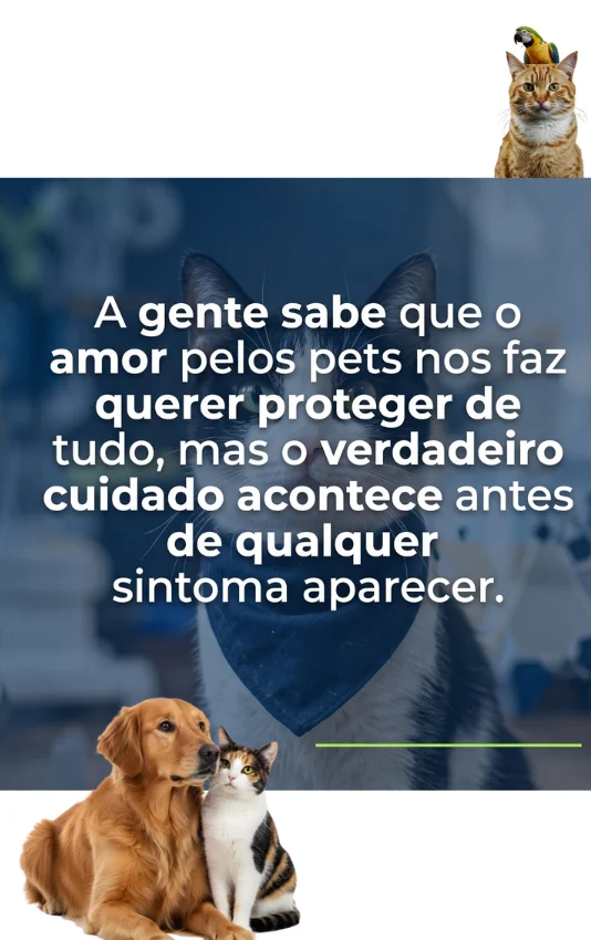 Cuidar é a Nossa Vocação