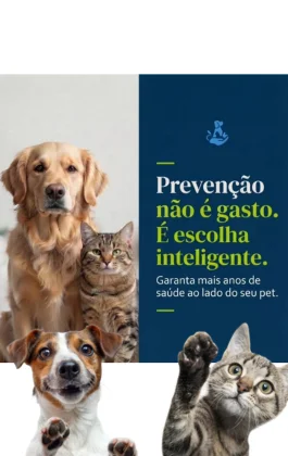 Imagem dos diferenciais