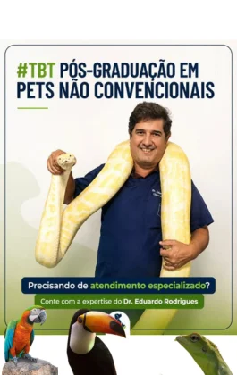 Imagem dos diferenciais