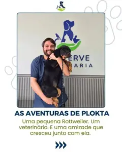 As aventuras de PLOKTA