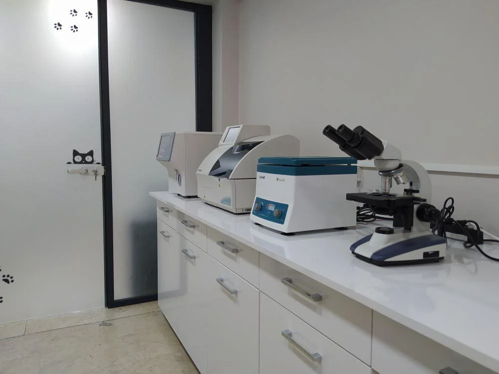 Exames Laboratoriais Veterinários