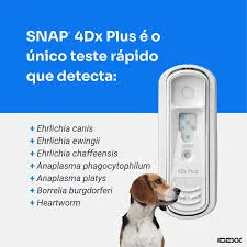 Teste 4DX para Cães
