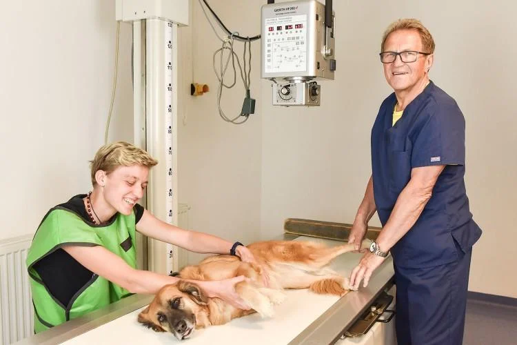 Cirurgia de Fratura em Cães e Gatos